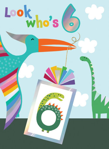 Picture of LOOK WHOS 6 BIRTHDAY CARD